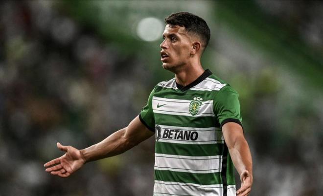 综上所述 综上所述