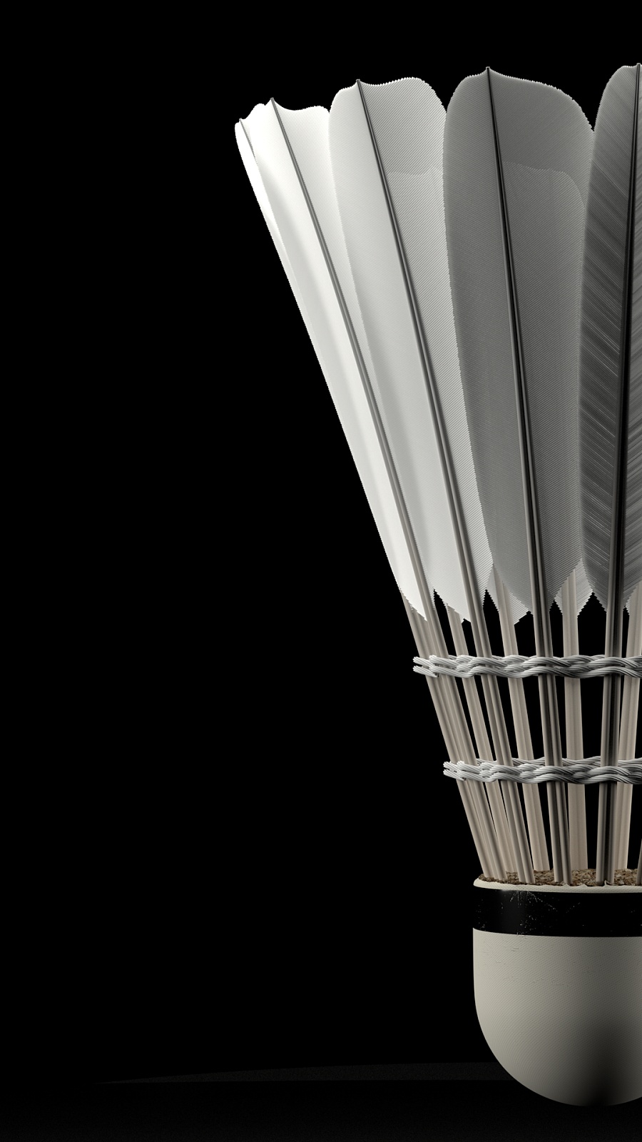 团队篮球的 团队篮球的